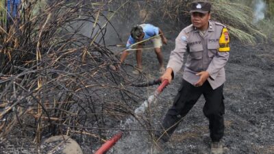 Bakar Tumpukan Ranting, Dua Hektar Lahan di Pekalongan Ikut Terbakar