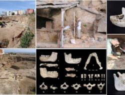 Fosil Pertama dari Periode Evolusi Manusia Ditemukan di Maroko