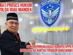Tuntut Penegakan Hukum Tanpa Pandang Bulu, PPWI Desak Mabes Polri Ambil Alih Kasus SPPD Fiktif DPRD Riau