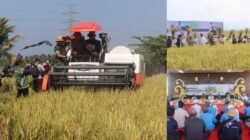 Penerapan Teknologi PM-AAS di Subak Tibu Beleng Tingkatkan Produktivitas Petani Jembrana