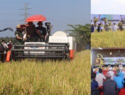 Penerapan Teknologi PM-AAS di Subak Tibu Beleng Tingkatkan Produktivitas Petani Jembrana