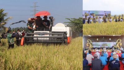 Penerapan Teknologi PM-AAS di Subak Tibu Beleng Tingkatkan Produktivitas Petani Jembrana