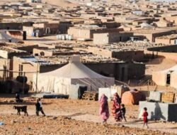 Skema Ponzi USD 6,6 Juta Guncang Kamp Tindouf, Persisma Desak PBB Pulangkan Pengungsi Sahrawi ke Maroko