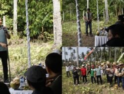Tingkatkan Ketahanan Pangan, Kelompok Tani di Jembrana Terima Bantuan Alsintan dan Panen Labu